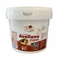 CREMA DE AVELLANAS  3 KGS DP