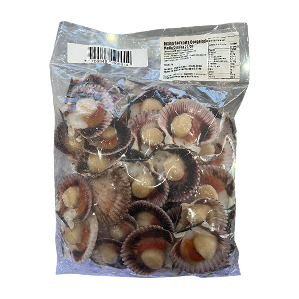 OSTIONES MEDIA CONCHA  1 KG SEAFARM